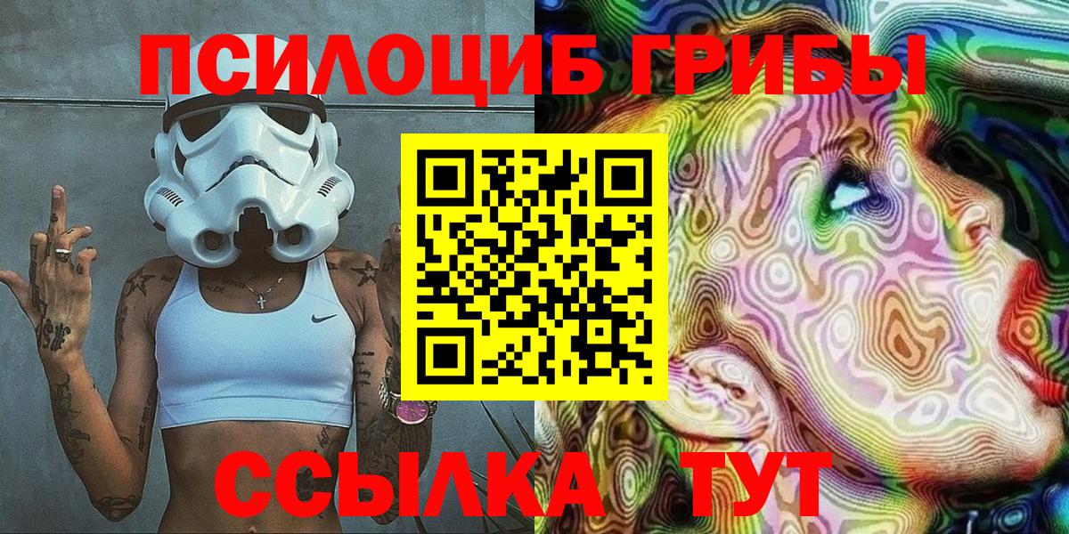 Псилоцибиновые грибы Psilocybe  Псилоцибиновые грибы GOLDEN TEACHER  Вход с VPN  Новоалександровск 