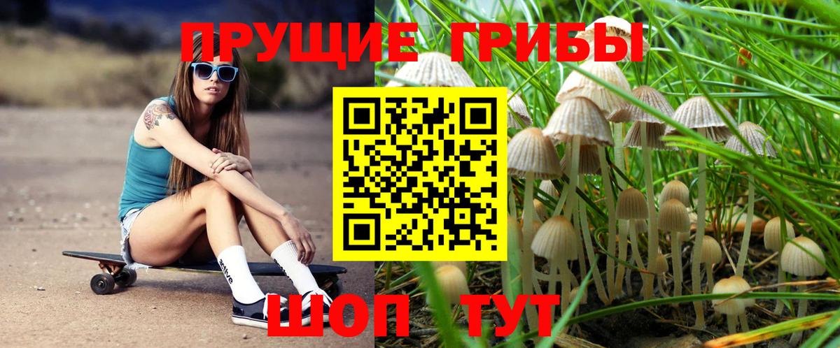 Псилоцибиновые грибы MAGIC MUSHROOMS Новоалександровск